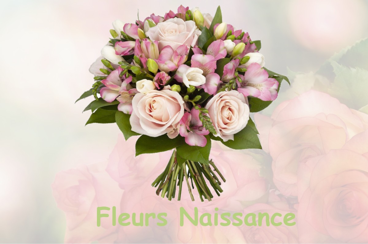fleurs naissance ANGOUSTRINE-VILLENEUVE-DES-ESCALDES
