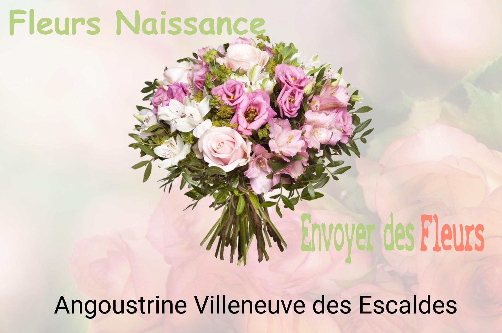 Bouquet de fleurs de naissance livré à Angoustrine-Villeneuve-des-Escaldes
